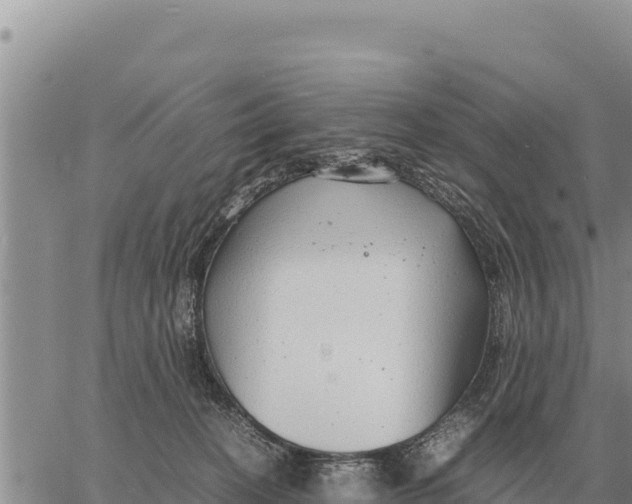 X0000061110274200512091825