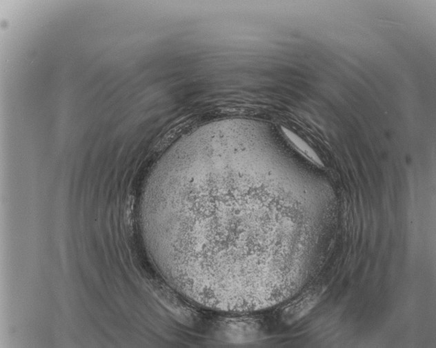 X0000061110275200512091825