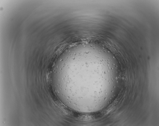 X0000061110276200512091825