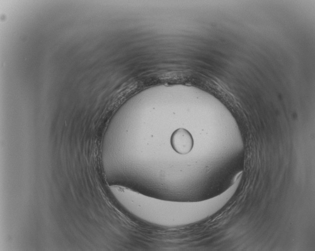 X0000061110277200512091825