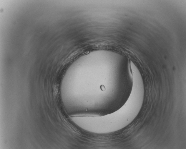 X0000061110278200512091825