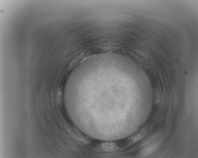 X0000061110279200512091825