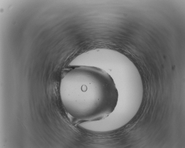 X0000061110280200512091825