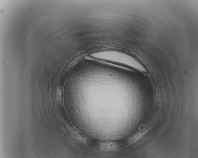 X0000061110281200512091825