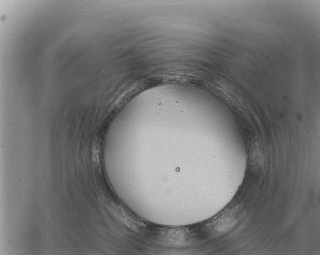 X0000061110282200512091825