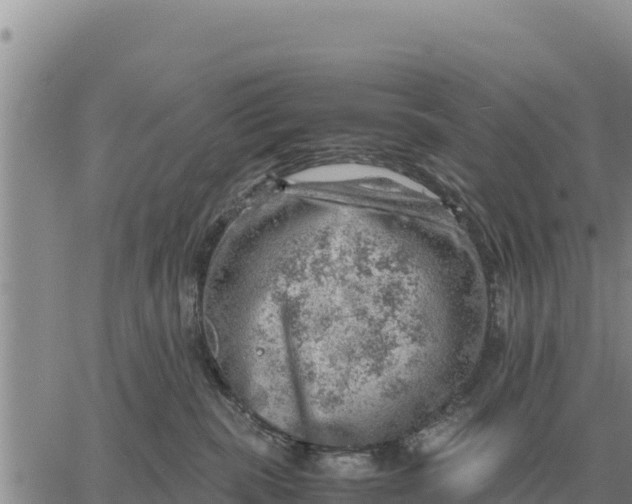 X0000061110283200512091825