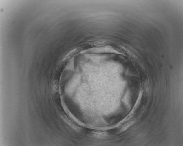 X0000061110284200512091825