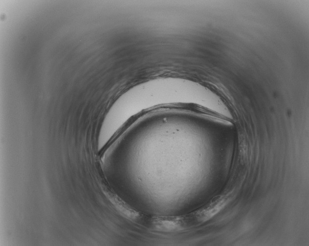 X0000061110285200512091825