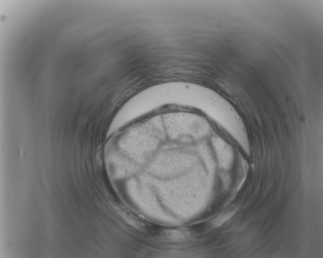 X0000061110286200512091825