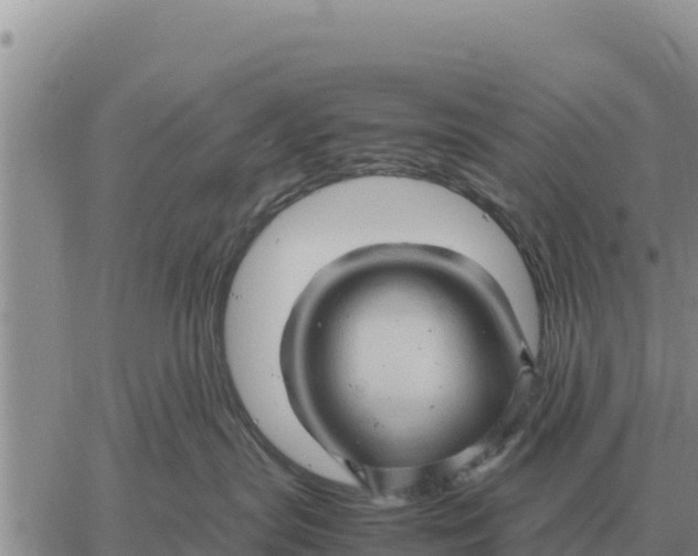 X0000061110287200512091825