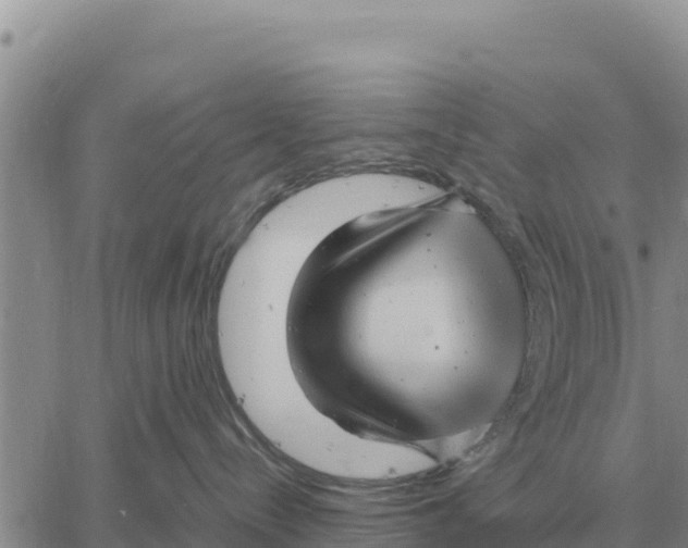 X0000061110288200512091825