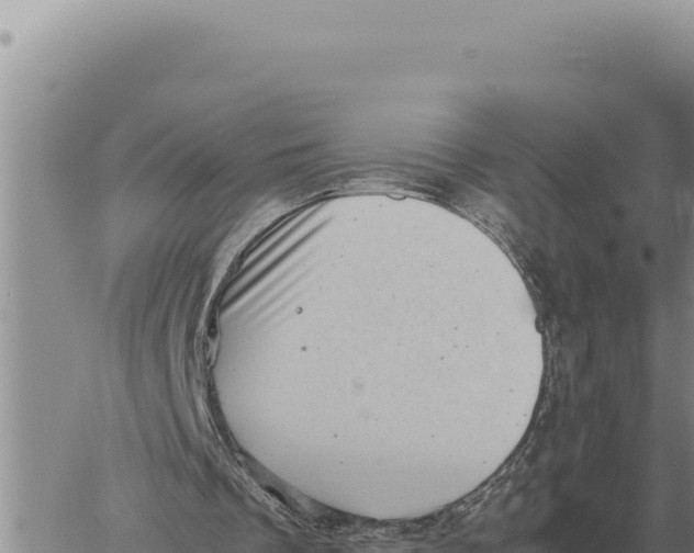 X0000061110289200512091824