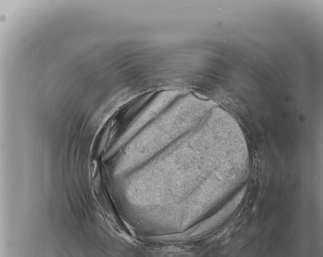 X0000061110290200512091824