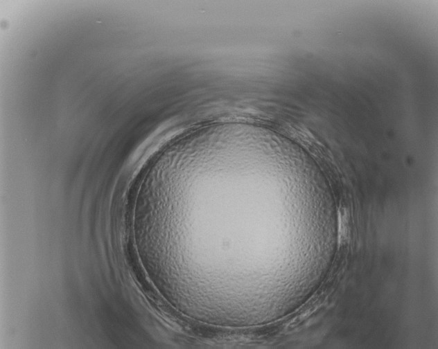 X0000061110291200512091824