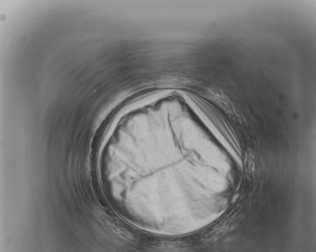 X0000061110292200512091824