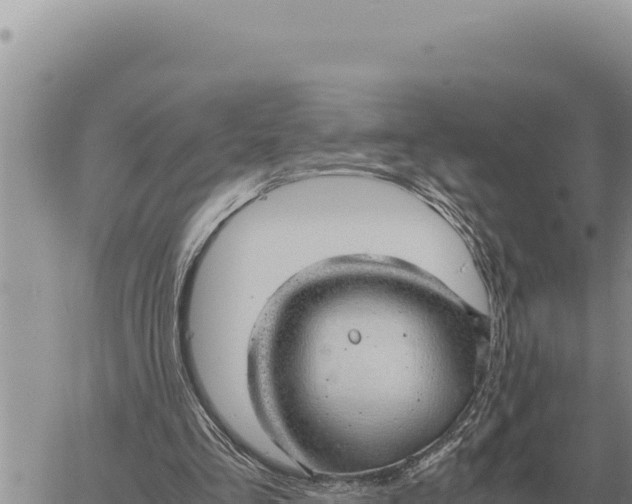 X0000061110293200512091824