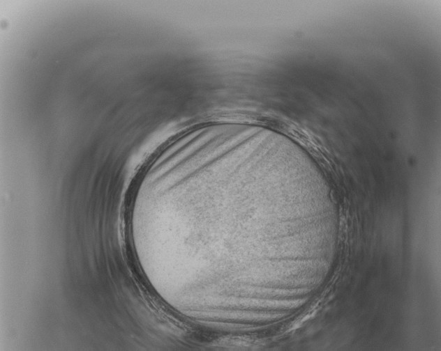 X0000061110294200512091824