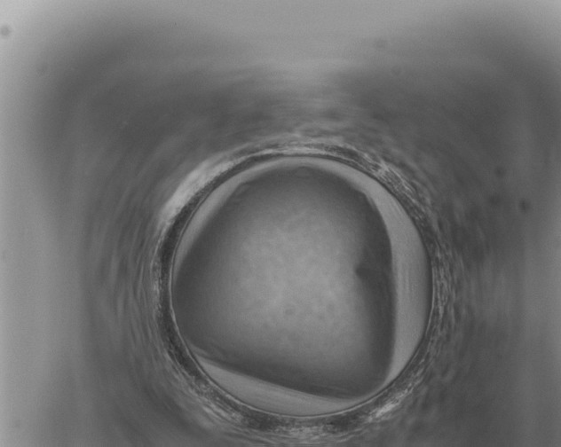 X0000061110295200512091824