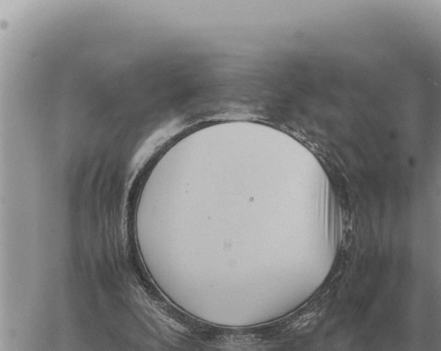 X0000061110296200512091824