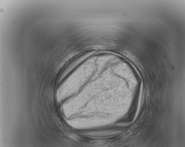 X0000061110297200512091824