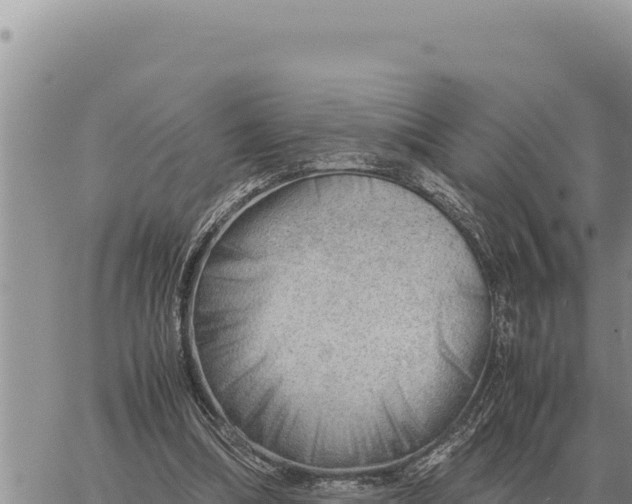 X0000061110298200512091824