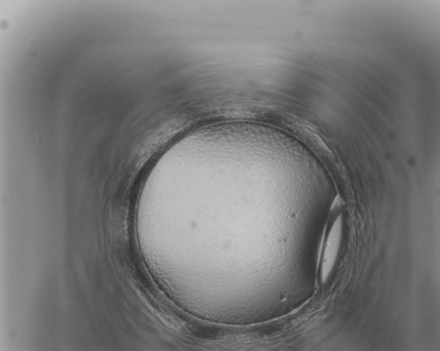 X0000061110299200512091824