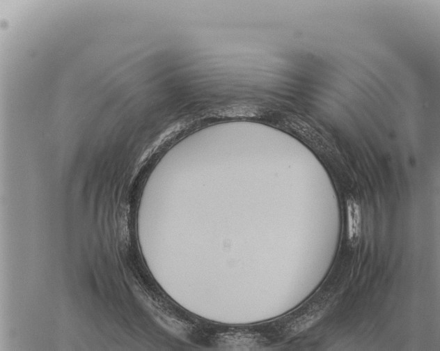 X0000061110300200512091824