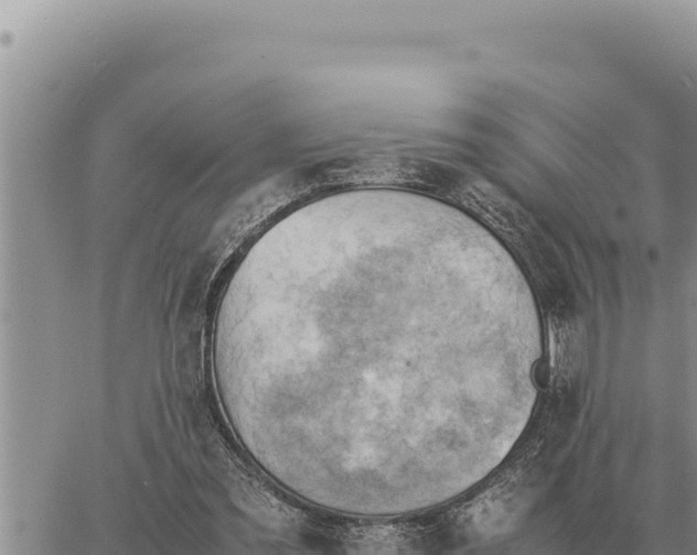 X0000061110301200512091824