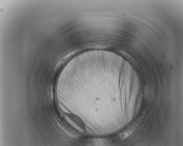 X0000061110302200512091824