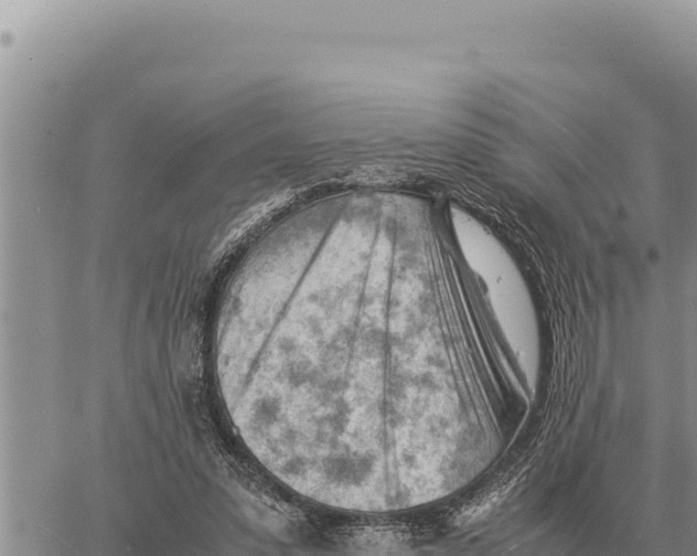 X0000061110303200512091824