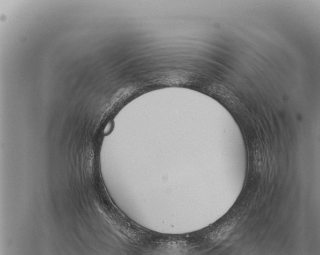 X0000061110304200512091824