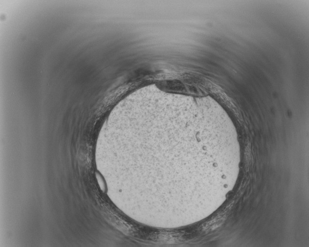 X0000061110305200512091824