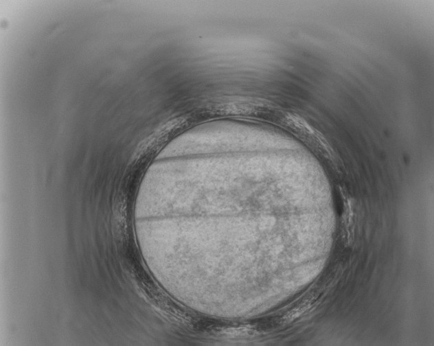 X0000061110306200512091824