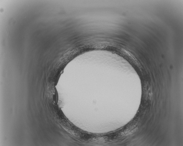 X0000061110307200512091824