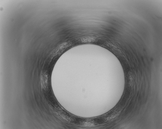 X0000061110308200512091824