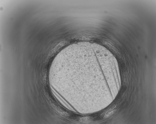 X0000061110309200512091824