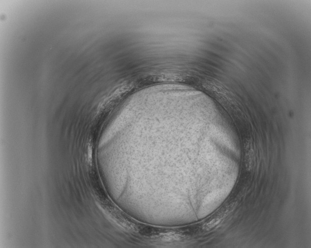 X0000061110310200512091824