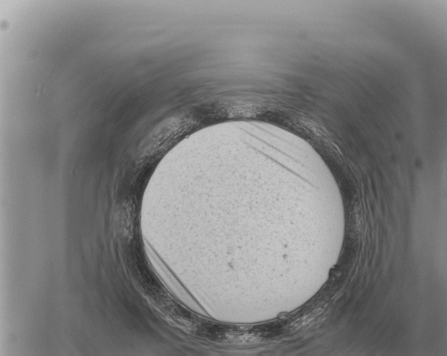 X0000061110311200512091824