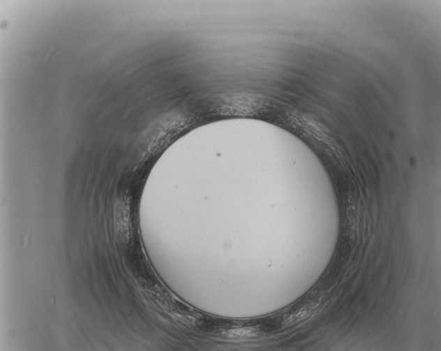 X0000061110312200512091824