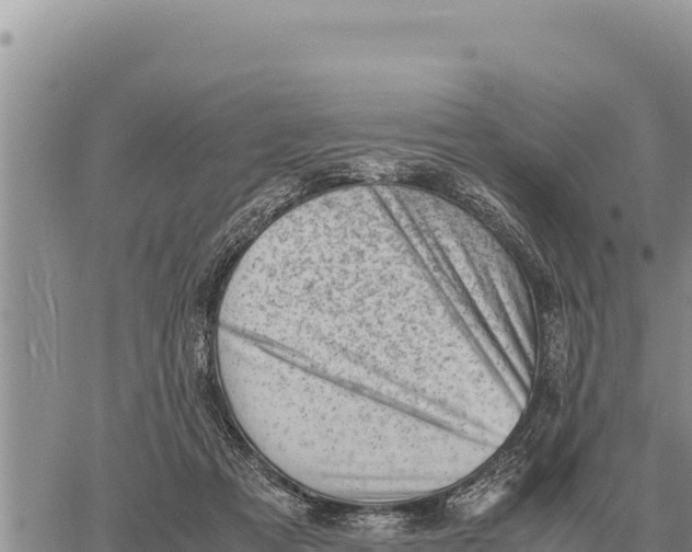 X0000061110313200512091824