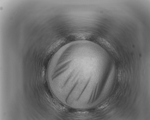 X0000061110314200512091824