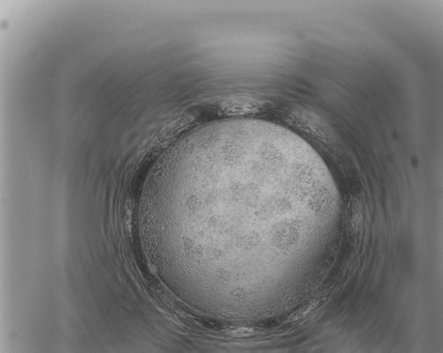 X0000061110315200512091824