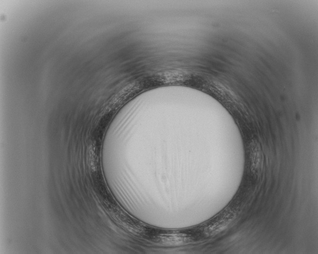 X0000061110316200512091824