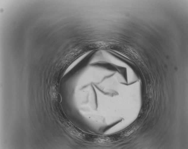 X0000061110317200512091824