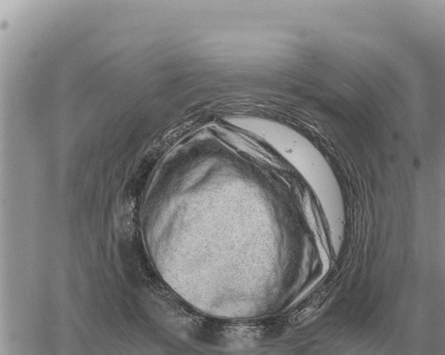 X0000061110319200512091824