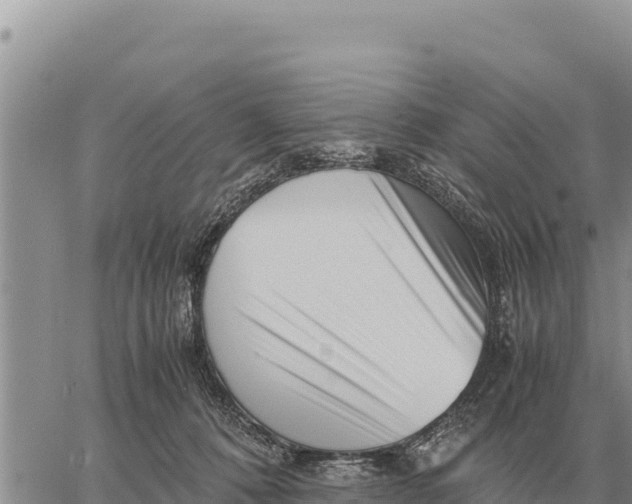 X0000061110320200512091824