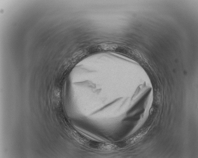 X0000061110321200512091824