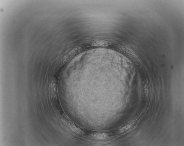 X0000061110322200512091824