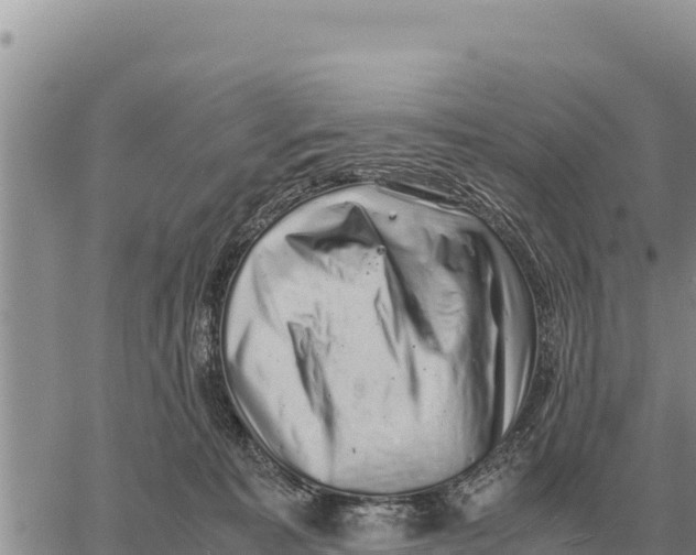 X0000061110323200512091824