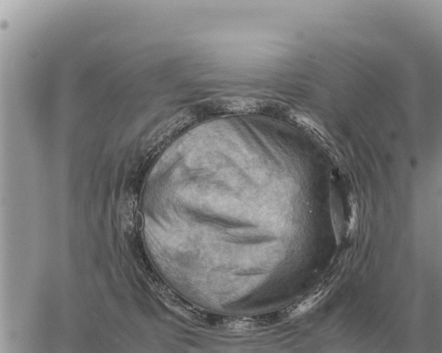 X0000061110325200512091824